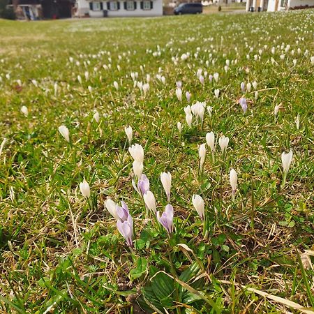 Bauernhaus Jocher Krün Zewnętrze zdjęcie