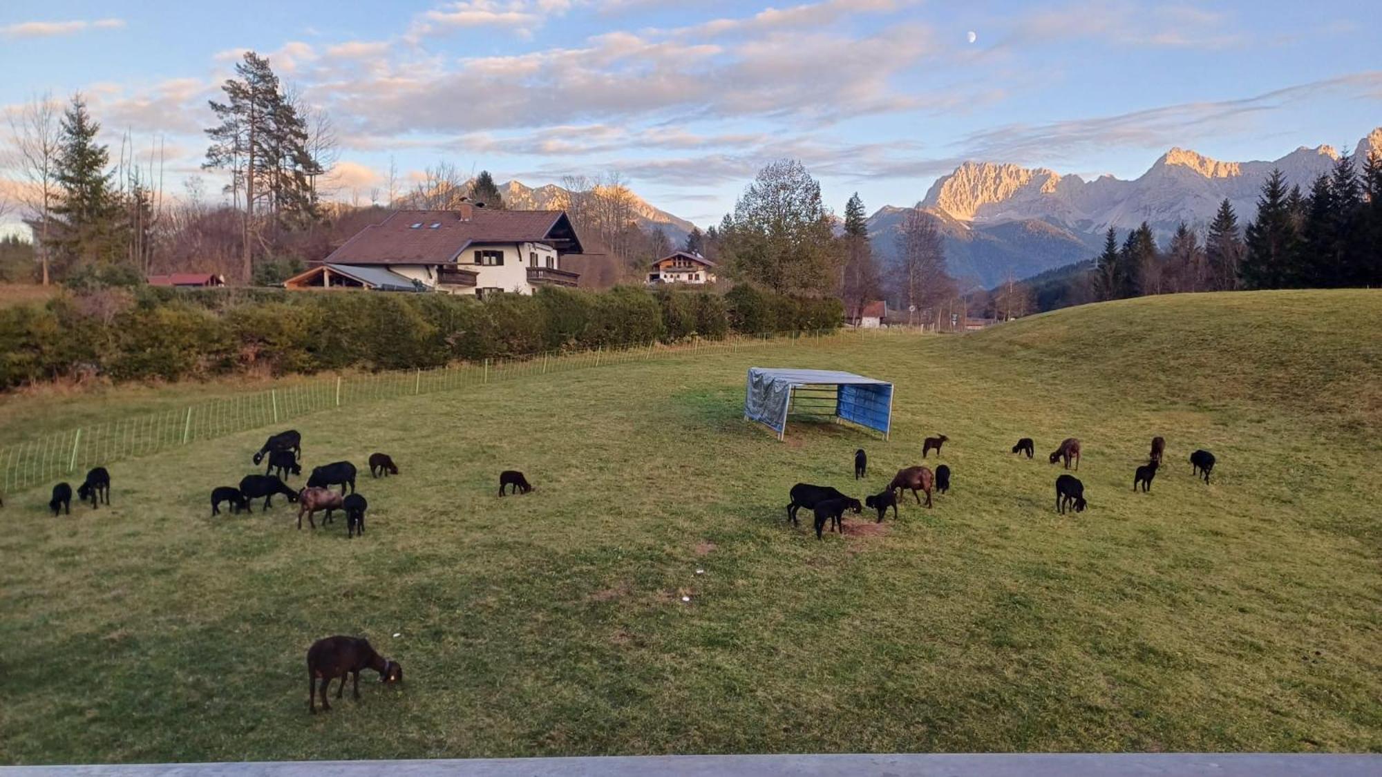 Bauernhaus Jocher Krün Zewnętrze zdjęcie